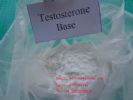 Testosterone Base 58-22-0 SH-TS001
